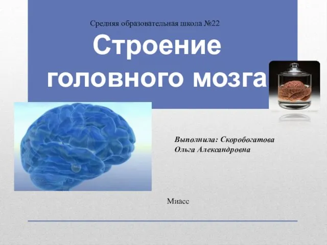 Презентация на тему Головной мозг