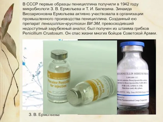 В СССР первые образцы пенициллина получили в 1942 году микробиологи З. В.