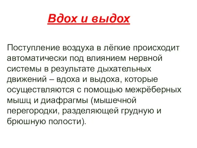 Вдох и выдох Поступление воздуха в лёгкие происходит автоматически под влиянием нервной