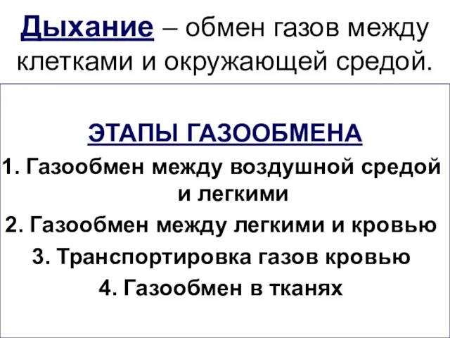 Дыхание – обмен газов между клетками и окружающей средой. ЭТАПЫ ГАЗООБМЕНА Газообмен