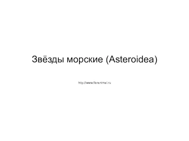 Звёзды морские (Asteroidea) http://www.floranimal.ru