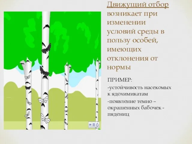 Движущий отбор возникает при изменении условий среды в пользу особей, имеющих отклонения