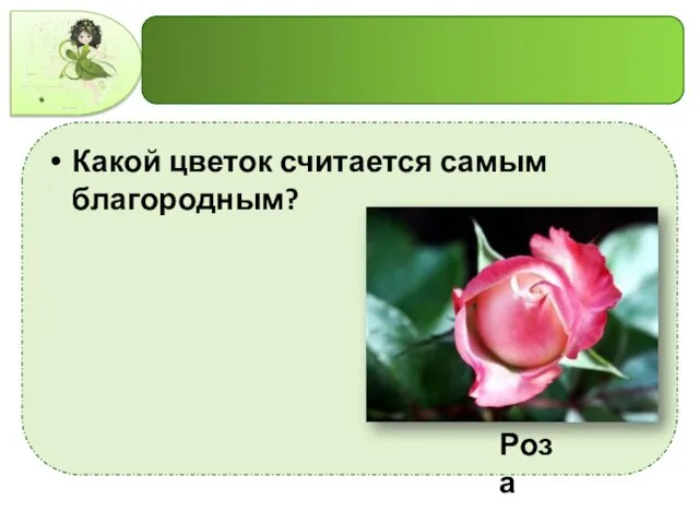 Какой цветок считается самым благородным? Роза