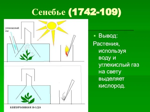 Сенебье (1742-109) Вывод: Растения, используя воду и углекислый газ на свету выделяет кислород.