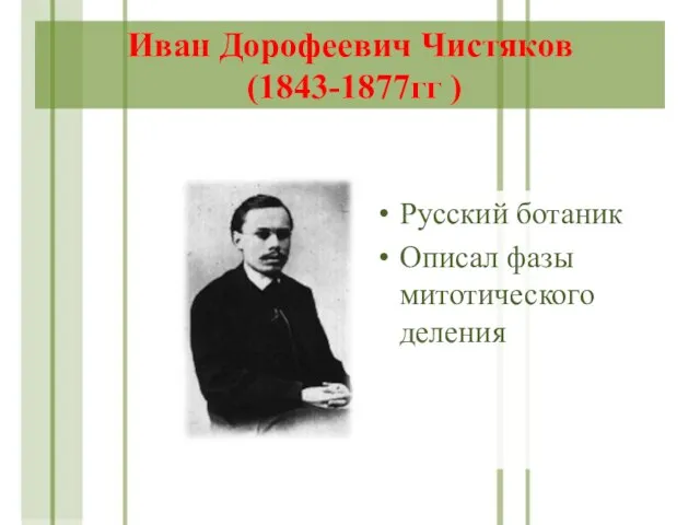 Иван Дорофеевич Чистяков (1843-1877гг ) Русский ботаник Описал фазы митотического деления