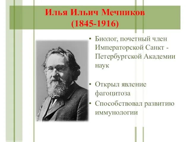 Илья Ильич Мечников (1845-1916) Биолог, почетный член Императорской Санкт -Петербургской Академии наук