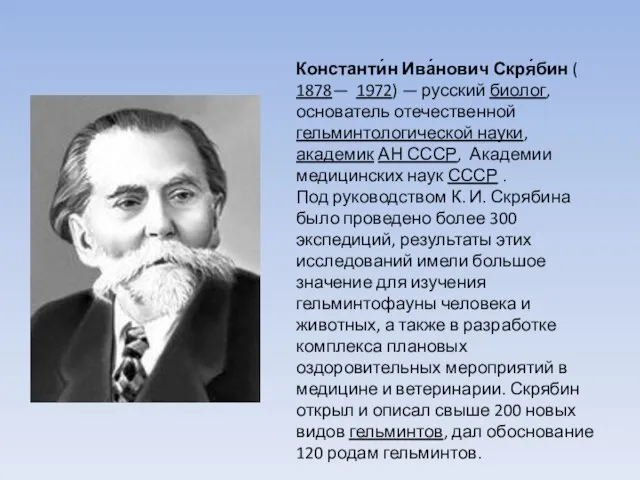 Константи́н Ива́нович Скря́бин ( 1878— 1972) — русский биолог, основатель отечественной гельминтологической