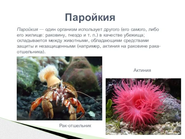Паройкия — один организм использует другого (его самого, либо его жилище: раковину,