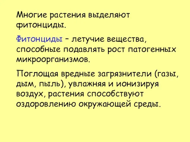 Многие растения выделяют фитонциды. Фитонциды – летучие вещества, способные подавлять рост патогенных