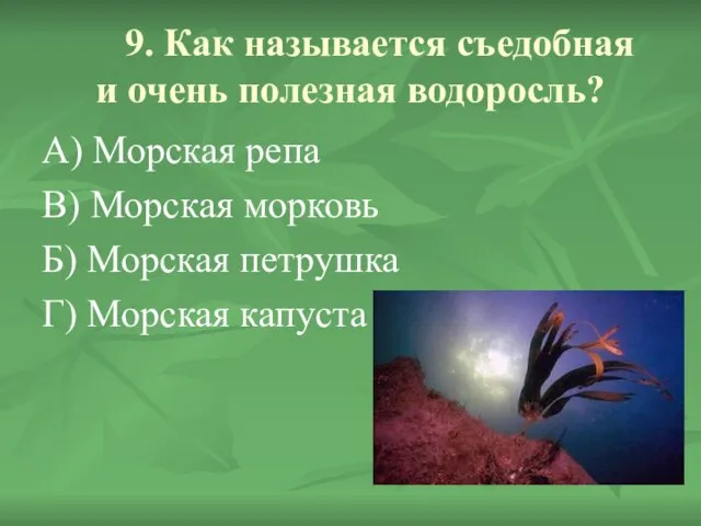 9. Как называется съедобная и очень полезная водоросль? А) Морская репа В)