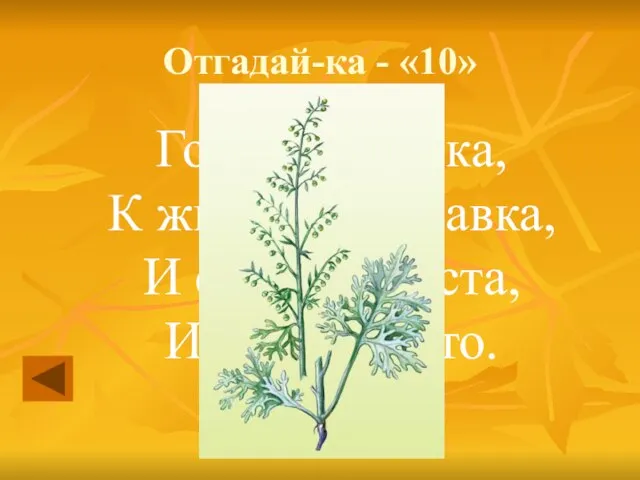 Отгадай-ка - «10» Горькая травка, К животу поправка, И сама душиста, И метёт чисто.