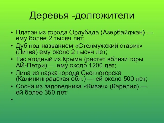 Деревья -долгожители Платан из города Ордубада (Азербайджан) — ему более 2 тысяч