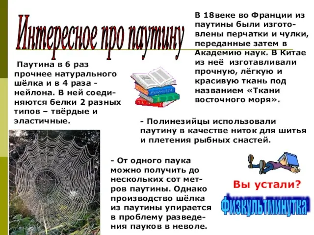 Интересное про паутину - От одного паука можно получить до нескольких сот