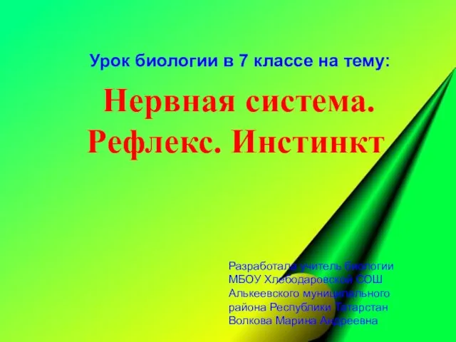 Презентация на тему Нервная система. Рефлекс. Инстинкт