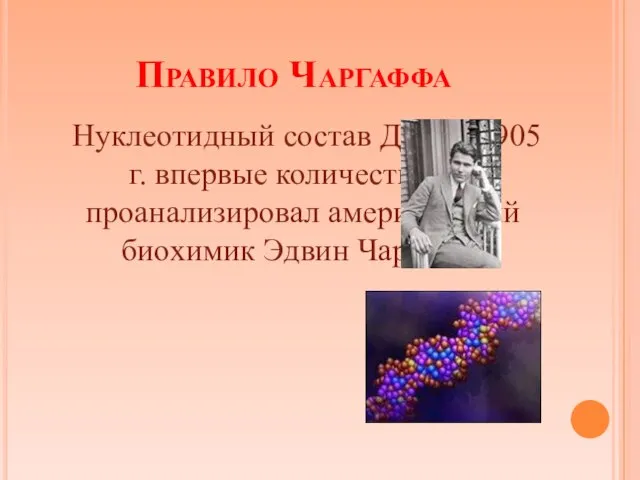 Правило Чаргаффа Нуклеотидный состав ДНК в 1905 г. впервые количественно проанализировал американский биохимик Эдвин Чаргафф.