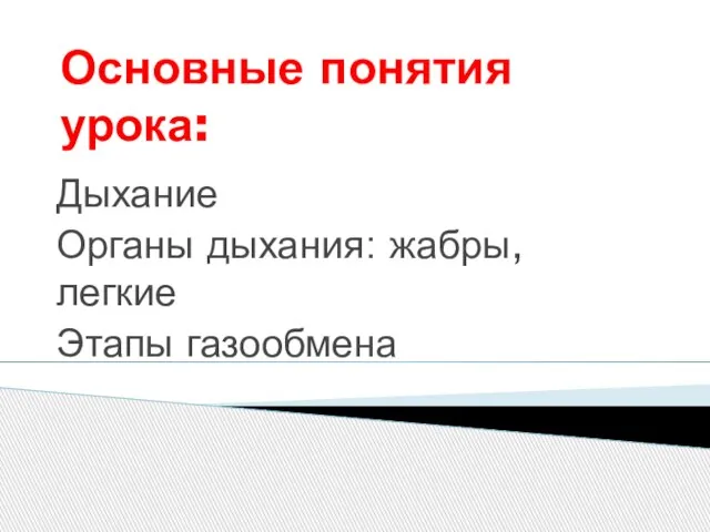 Основные понятия урока: Дыхание Органы дыхания: жабры, легкие Этапы газообмена