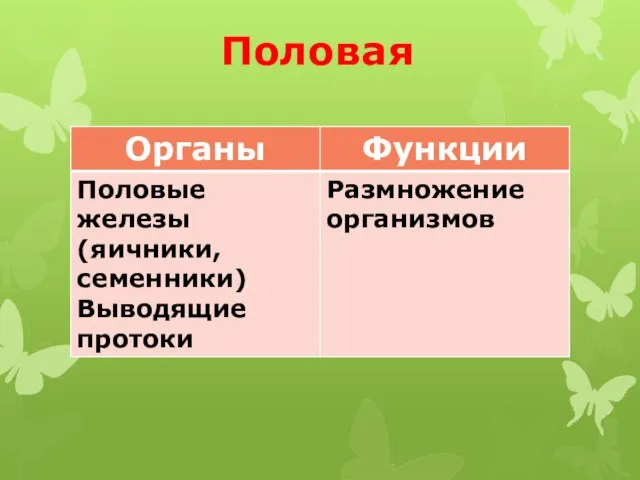 Половая