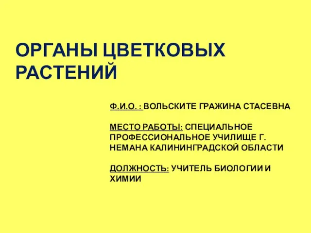 Презентация на тему Органы цветковых растений (6 класс)