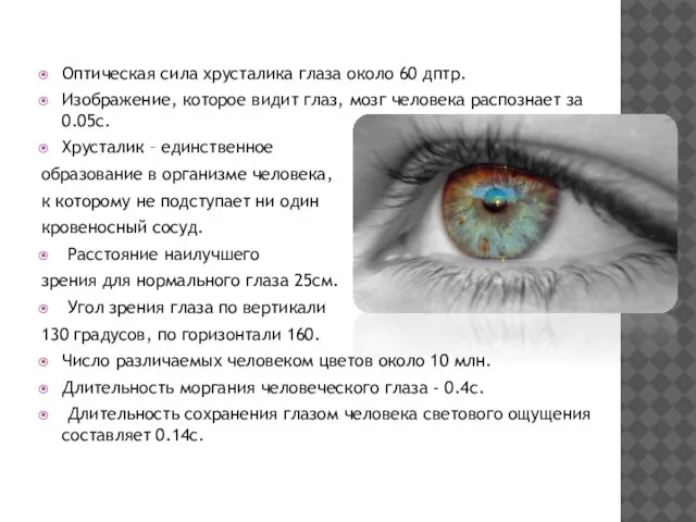 Оптическая сила хрусталика глаза около 60 дптр. Изображение, которое видит глаз, мозг
