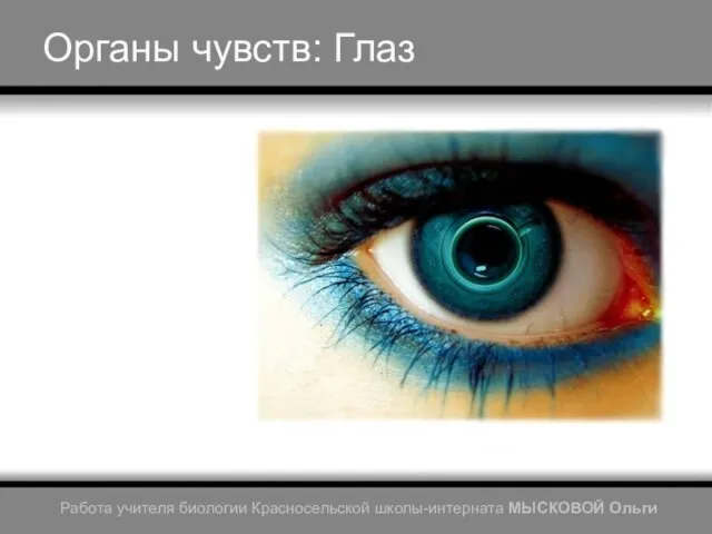 Презентация на тему Органы чувств: Глаз
