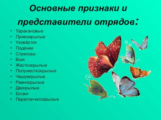 Основные признаки и представители отрядов: Таракановые Прямокрылые Уховёртки Подёнки Стрекозы Вши Жесткокрылые