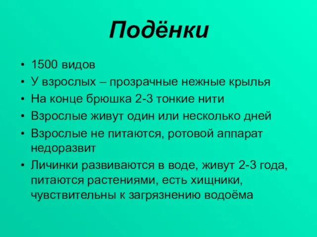 Подёнки 1500 видов У взрослых – прозрачные нежные крылья На конце брюшка