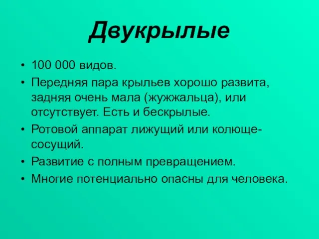 Двукрылые 100 000 видов. Передняя пара крыльев хорошо развита, задняя очень мала