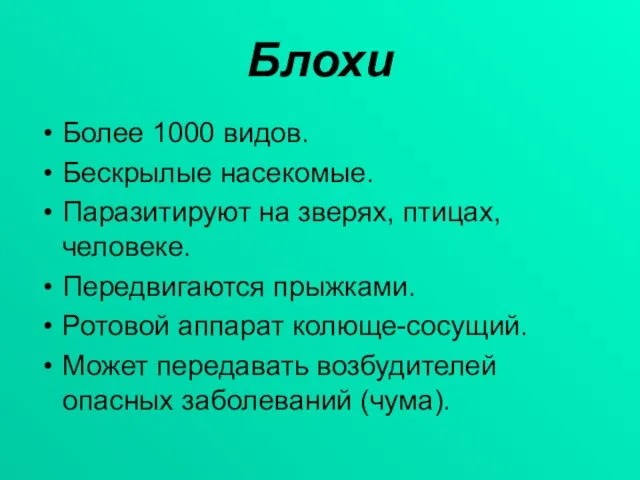 Блохи Более 1000 видов. Бескрылые насекомые. Паразитируют на зверях, птицах, человеке. Передвигаются