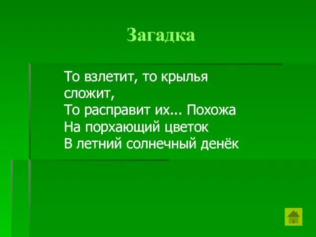 Загадка То взлетит, то крылья сложит, То расправит их... Похожа На порхающий