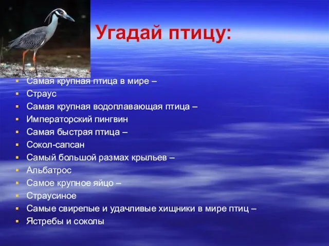 Угадай птицу: Самая крупная птица в мире – Страус Самая крупная водоплавающая