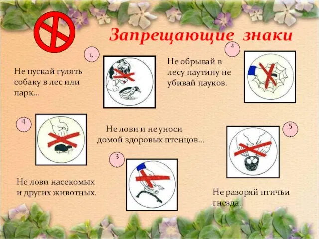 Запрещающие знаки Не обрывай в лесу паутину не убивай пауков. Не разоряй
