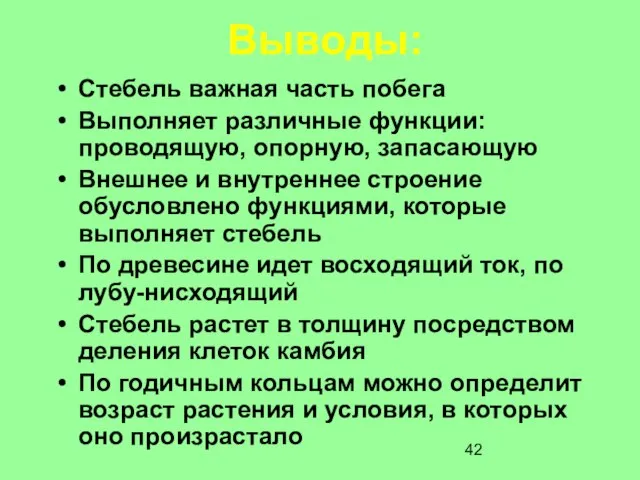 Выводы: Стебель важная часть побега Выполняет различные функции: проводящую, опорную, запасающую Внешнее