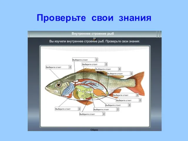 Проверьте свои знания