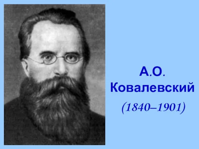 А.О. Ковалевский (1840–1901)