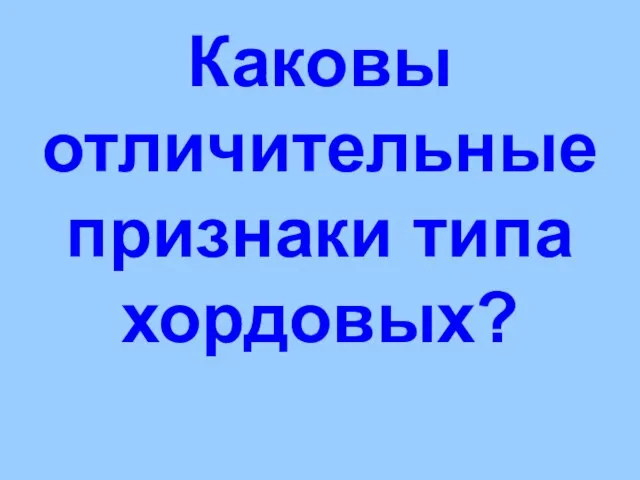 Каковы отличительные признаки типа хордовых?