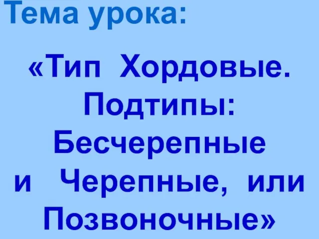 Тема урока: «Тип Хордовые. Подтипы: Бесчерепные и Черепные, или Позвоночные»