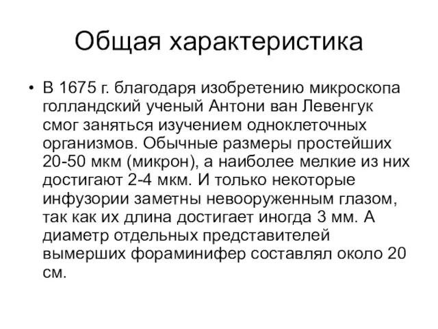 Общая характеристика В 1675 г. благодаря изобретению микроскопа голландский ученый Антони ван