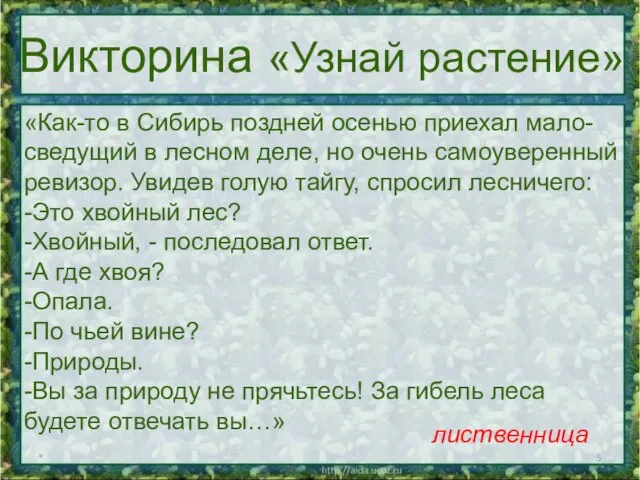 * Викторина «Узнай растение» «Как-то в Сибирь поздней осенью приехал мало- сведущий