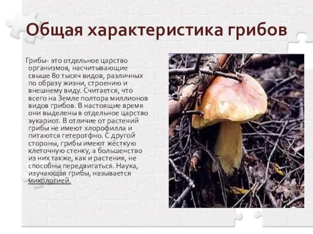 Общая характеристика грибов Грибы- это отдельное царство организмов, насчитывающие свыше 80 тысяч