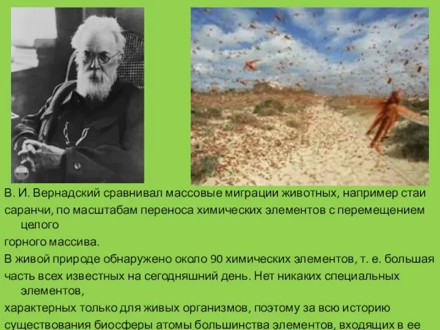 В. И. Вернадский сравнивал массовые миграции животных, например стаи саранчи, по масштабам