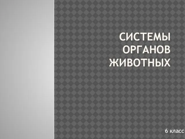 Презентация на тему Системы органов животных