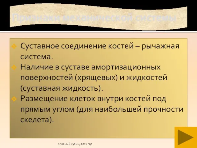 Красный Сулин, 2011 год. Признаки механической системы Суставное соединение костей – рычажная