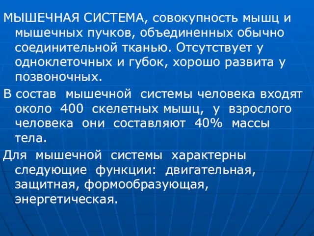 МЫШЕЧНАЯ СИСТЕМА, совокупность мышц и мышечных пучков, объединенных обычно соединительной тканью. Отсутствует