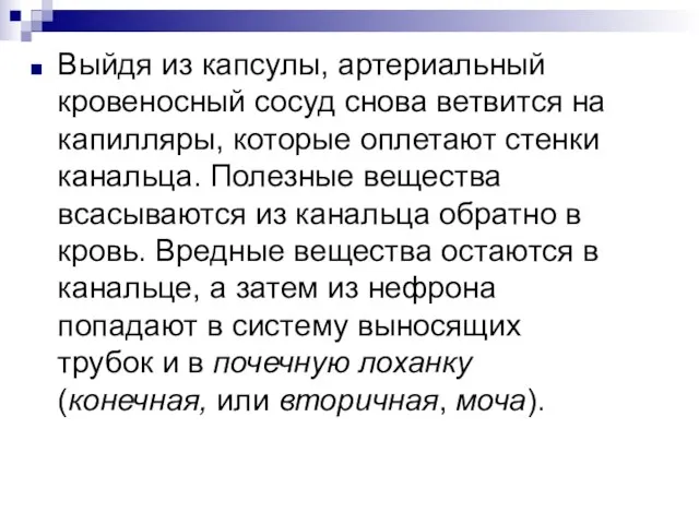 Выйдя из капсулы, артериальный кровеносный сосуд снова ветвится на капилляры, которые оплетают