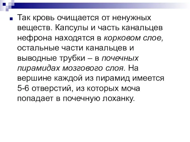 Так кровь очищается от ненужных веществ. Капсулы и часть канальцев нефрона находятся