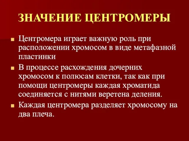 ЗНАЧЕНИЕ ЦЕНТРОМЕРЫ Центромера играет важную роль при расположении хромосом в виде метафазной