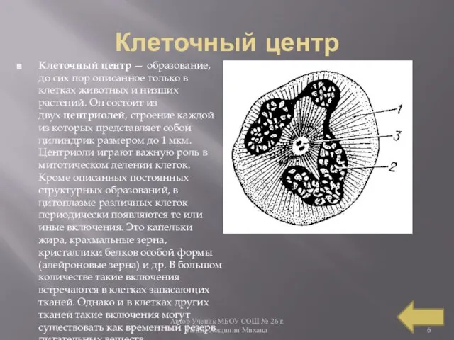 Автор Ученик МБОУ СОШ № 26 г. Пензы Лощинин Михаил Клеточный центр