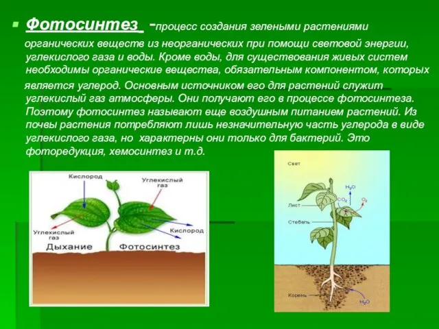 Фотосинтез -процесс создания зелеными растениями органических веществ из неорганических при помощи световой