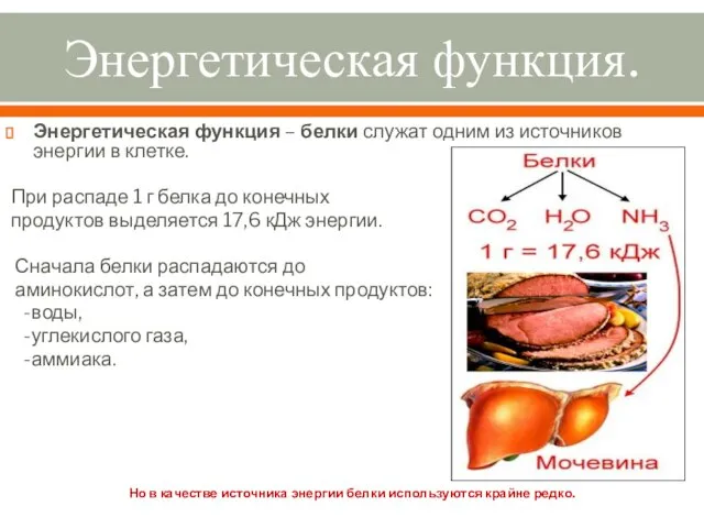 Энергетическая функция. Энергетическая функция – белки служат одним из источников энергии в