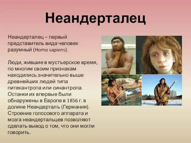 Неандерталец – первый представитель вида человек разумный (Homo sapiens). Люди, жившие в